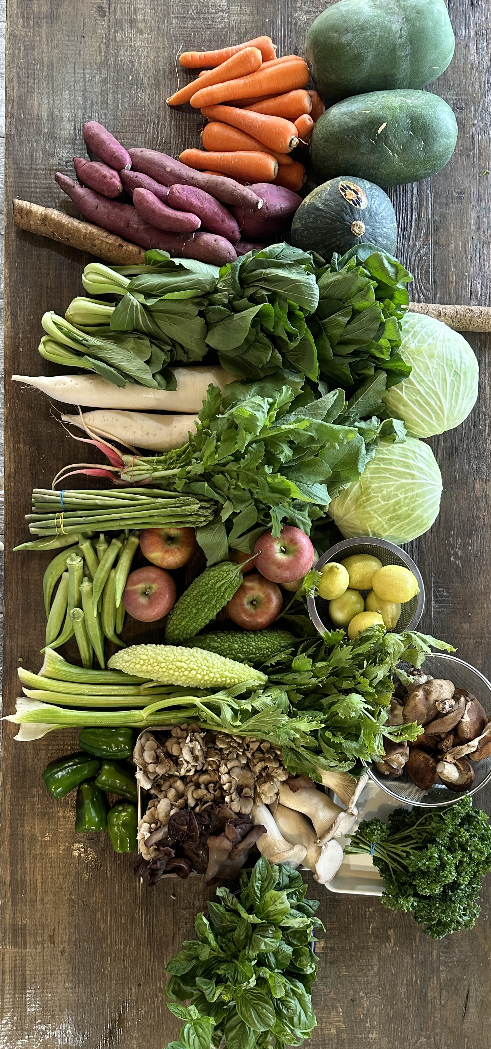 10月2日のお惣菜たち