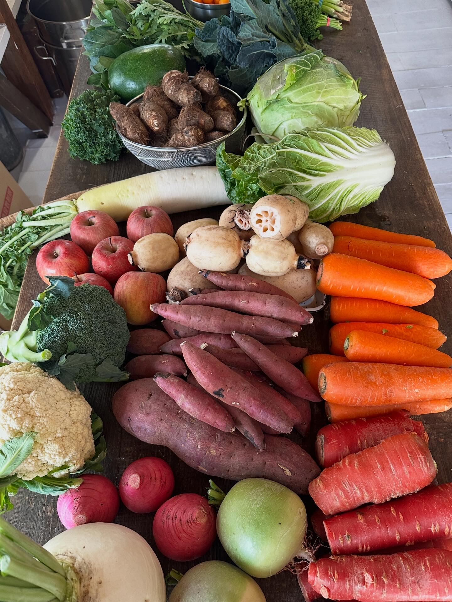 1月8日のお惣菜たち