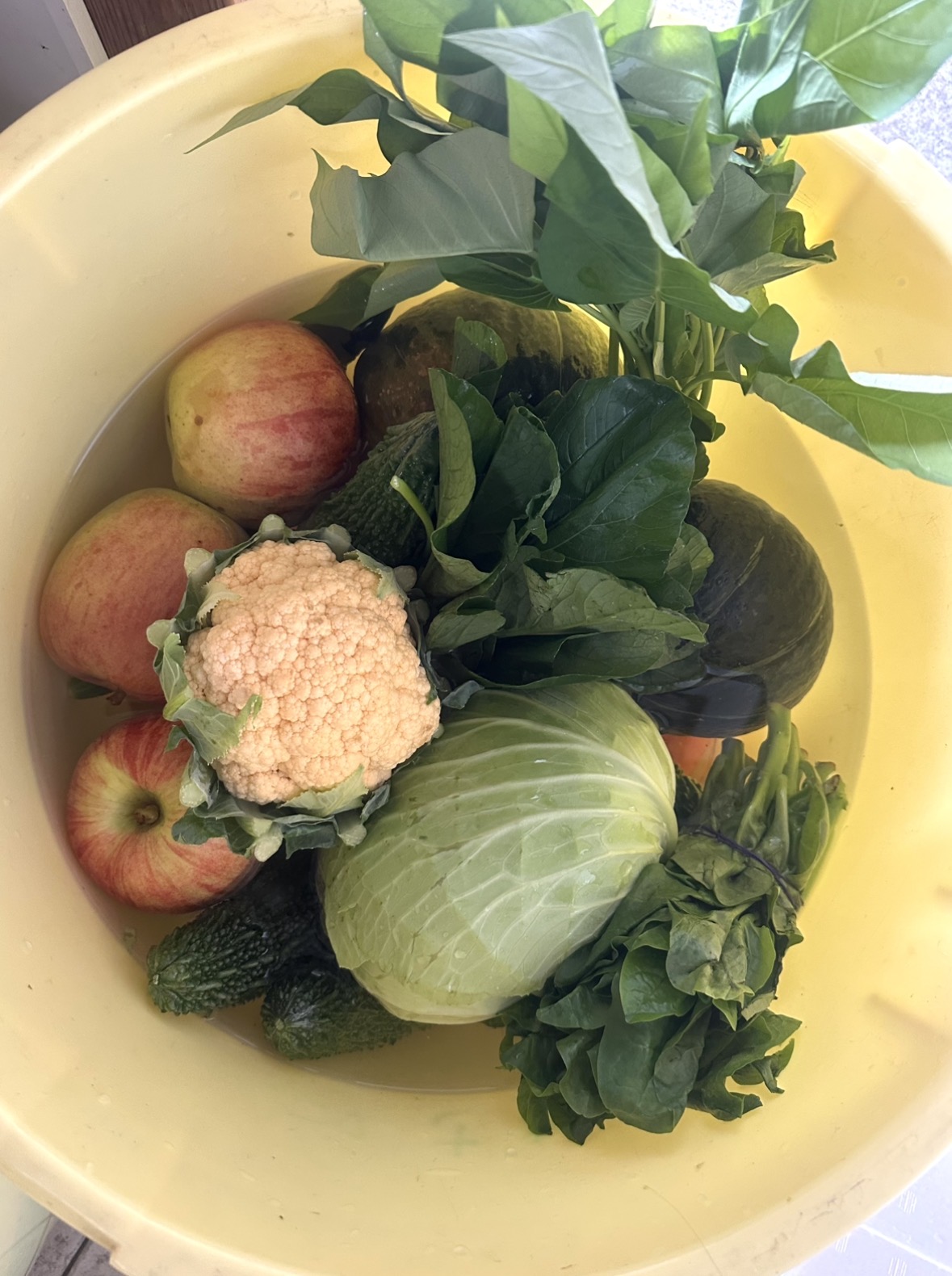 9月10日のお惣菜たち